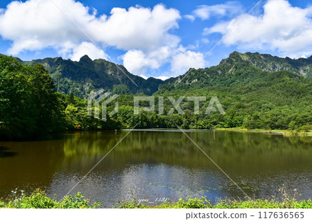 Fresh greenery and clouds reflected in Kagami-ike pond 117636565