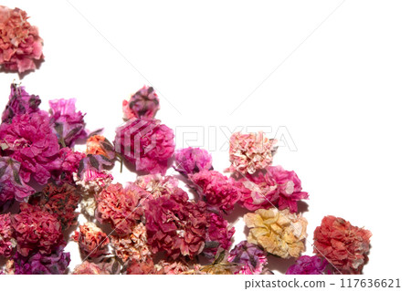 Pretty Floral Small Flowers Babies Breath On White Background for Weddings or Design 117636621