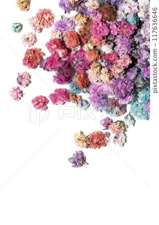 Pretty Floral Small Flowers Babies Breath On White Background for Weddings or Design 117636646