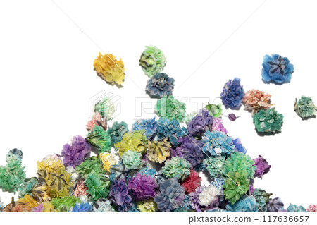 Pretty Floral Small Flowers Babies Breath On White Background for Weddings or Design Pretty Floral Small Flowers Babies Breath On White Background for Weddings or Design 117636657