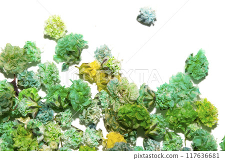 Pretty Floral Small Flowers Babies Breath On White Background for Weddings or Design 117636681