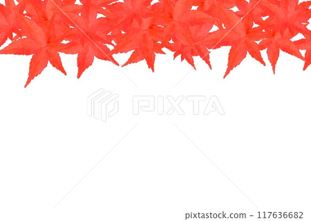 Red autumn leaves frame 117636682