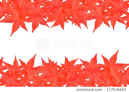 紅葉的上下框① 117636683
