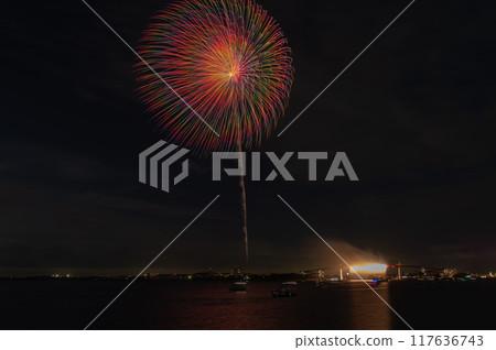 大型煙火和尼加拉漂浮在夜空中 117636743