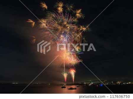 絢麗的煙火為夏日的夜空增添色彩 117636750