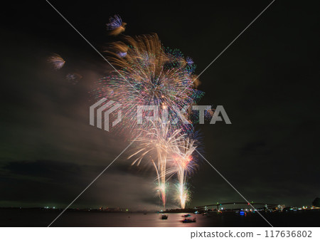 絢麗的煙火為夏日的夜空增添色彩 117636802