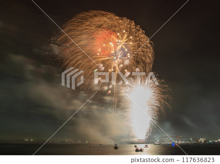 Gorgeous fireworks lighting up the summer night sky 117636823