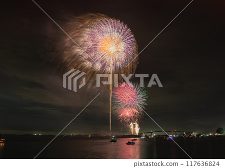 Gorgeous fireworks lighting up the summer night sky 117636824
