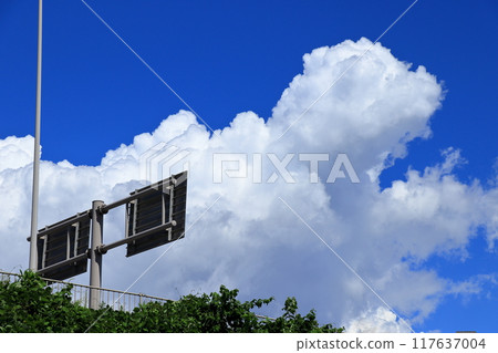 Summer Clouds《Daily Life》 Summer Clouds《Daily Life》 117637004