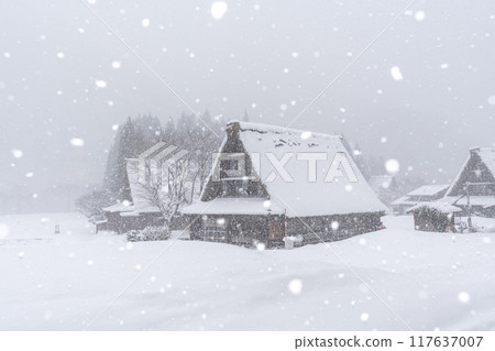 雪域五簇山菅沼合掌村 117637007