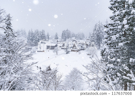 白雪皚皚的五簇山，相倉合掌村 117637008