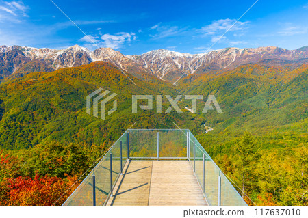 白馬的秋天景色，珍貴的三層紅葉 117637010