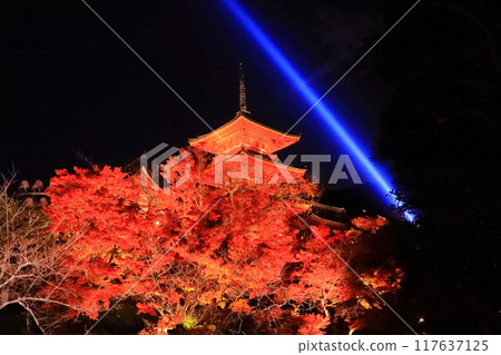 清水寺(京都市東山區)庭園的秋葉 清水寺(京都市東山區)庭園的秋葉 117637125