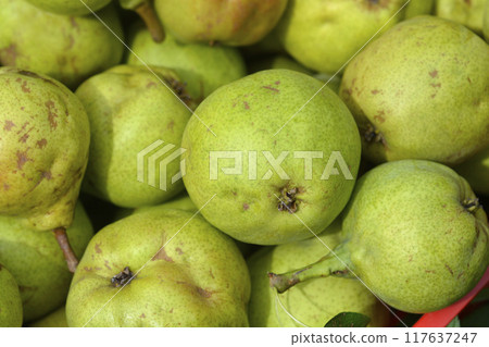 Pears Pears 117637247
