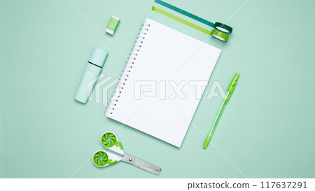 Creative flat lay mockup design of workspace. Top view composition with white notebook, to do list and stationery on green background 117637291