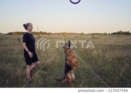 two women play in the field with a german shepherd dog toy at sunset 117637394