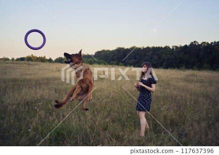 two women play in the field with a german shepherd dog toy at sunset 117637396