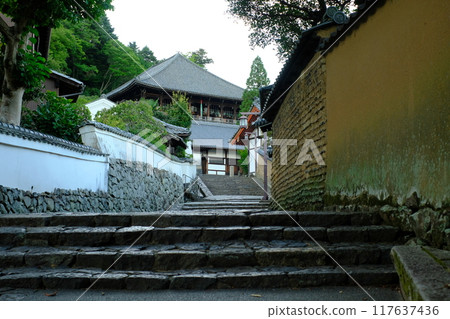 The back approach to Todaiji Temple's Nigatsudo Hall in the early morning The back approach to Todaiji Temple's Nigatsudo Hall in the early morning 117637436