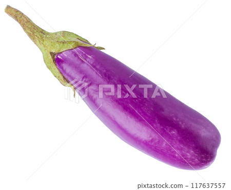 Eggplant or aubergine vegetable isolated on white background 117637557