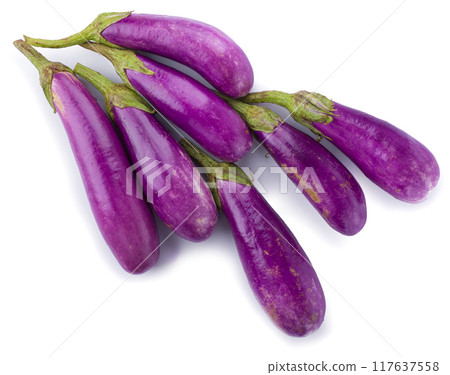 Eggplant or aubergine vegetable isolated on white background Eggplant or aubergine vegetable isolated on white background 117637558