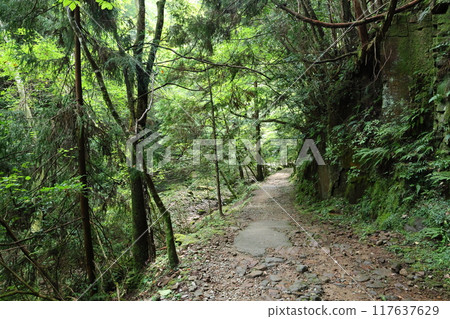 Fukaya Ryuchin Valley and Ryuchin Shrine [Uda City, Nara Prefecture] 117637629