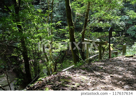Fukaya Ryuchin Valley and Ryuchin Shrine [Uda City, Nara Prefecture] 117637634