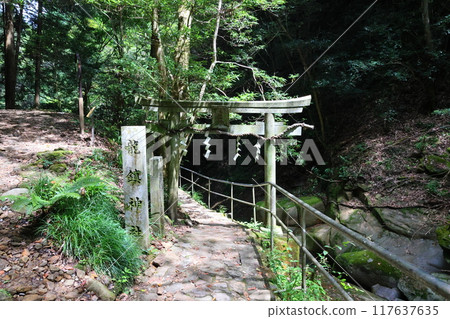 Fukaya Ryuchin Valley and Ryuchin Shrine [Uda City, Nara Prefecture] 117637635