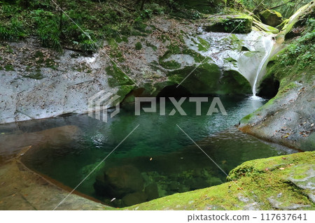 Fukaya Ryuchin Valley and Ryuchin Shrine / Ryuchin Falls [Uda City, Nara Prefecture] 117637641