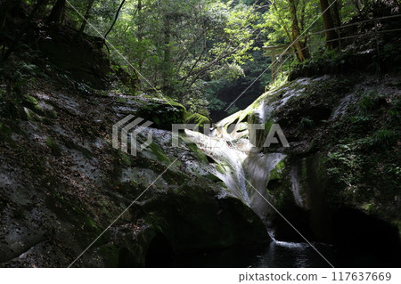 Fukaya Ryuchin Valley and Ryuchin Shrine / Ryuchin Falls [Uda City, Nara Prefecture] 117637669