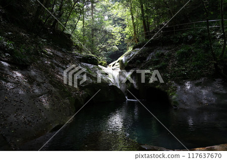 Fukaya Ryuchin Valley and Ryuchin Shrine / Ryuchin Falls [Uda City, Nara Prefecture] 117637670