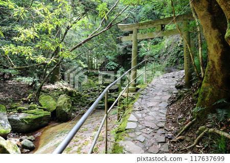 Fukaya Ryuchin Valley and Ryuchin Shrine [Uda City, Nara Prefecture] 117637699