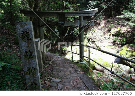 Fukaya Ryuchin Valley and Ryuchin Shrine [Uda City, Nara Prefecture] 117637700