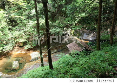 Fukaya Ryuchin Valley and Ryuchin Shrine [Uda City, Nara Prefecture] 117637701