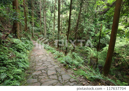 深谷龍欽谷/龍欽神社【奈良縣宇田市】 117637704