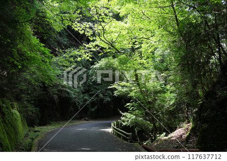Roads around Fukaya Ryuchin Valley and Ryuchin Shrine [Uda City, Nara Prefecture] 117637712