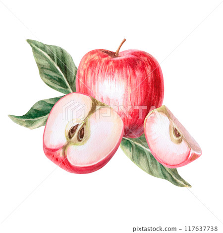 Composition of whole apple, half and slice in isolated watercolor illustration. Fruits for organic food design, posters, fabric printing, packaging, autumn harvest illustration 117637738