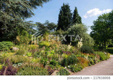The University botanical garden, the Loki Schmidt Garten in Altona Hamburg, Germany The University botanical garden, the Loki Schmidt Garten in Altona Hamburg, Germany 117638008