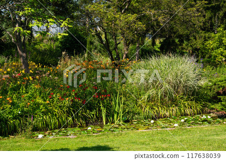 The University botanical garden, the Loki Schmidt Garten in Altona Hamburg, Germany 117638039