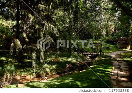 The Garden of Eden with a bridge and a pond. Lush greenery. Spots of sunlight on the lawn 117638288