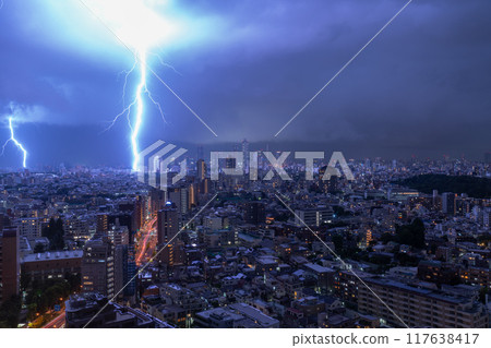 [東京] 東京遊擊雷暴 117638417