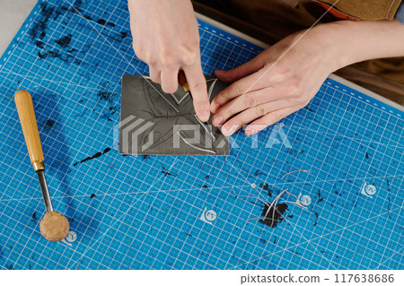 Hands of designer cutting out butterfly 117638686
