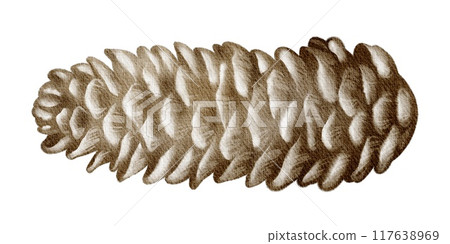Watercolor Pine cone transparent background. Botanical Illustration lonely pinecone Hand drawn brown color. Festive plant forest element for Christmas design. Decoration for cards and holidays. Watercolor Pine cone transparent background. Botanical Illustration lonely pinecone Hand drawn brown color. Festive plant forest element for Christmas design. Decoration for cards and holidays. 117638969