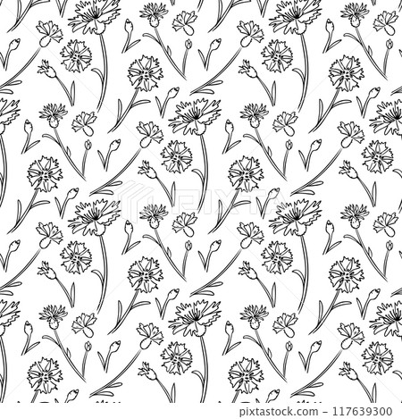 Black and white seamless pattern with cornflowers Black and white seamless pattern with cornflowers 117639300