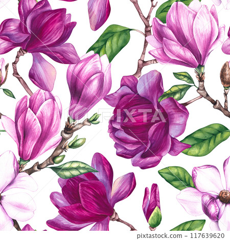 Watercolor magnolia pattern 117639620