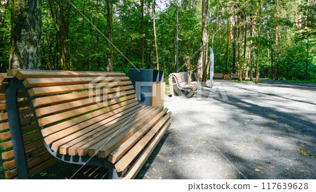 nature summer bench day background natural green park garden grass view outdoor landscape 117639628