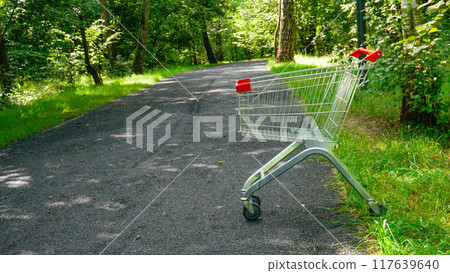 cart store market business shop supermarket purchase sale trolley timber shopping buy wood 117639640