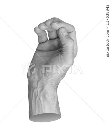 Hand with fingers bent like, showing a gripping gesture. Isolated on a white background. Perfect for 117639942