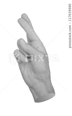 Crossed fingers, lucky gesture, hand sign isolated on white background Crossed fingers, lucky gesture, hand sign isolated on white background 117639990