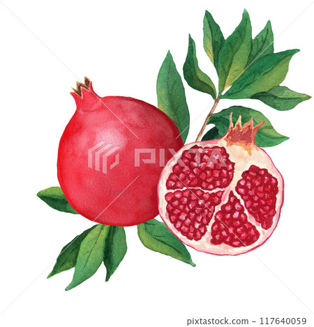 Composition of a whole pomegranate and a half with leaves. Watercolor illustration isolated on white background. For menu, card, sticker, wrapping 117640059