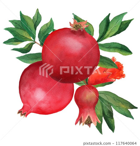 Composition of two whole pomegranates with flower and small fruit and leaves. Watercolor illustration isolated on white background. For menu, sticker Composition of two whole pomegranates with flower and small fruit and leaves. Watercolor illustration isolated on white background. For menu, sticker 117640064